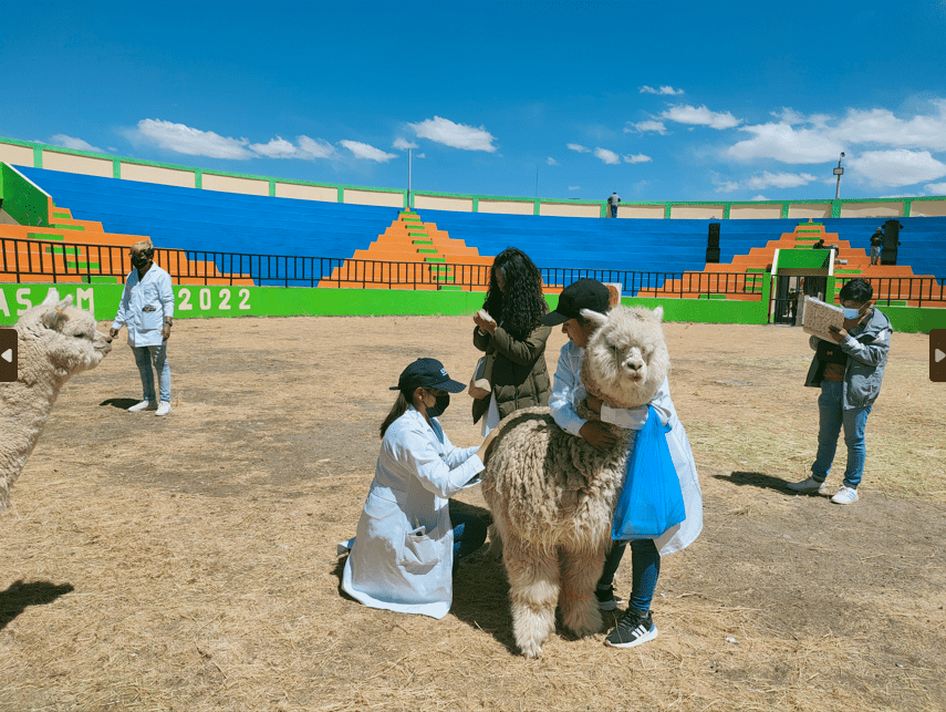 EQUIPO CORI P´ACOCHA