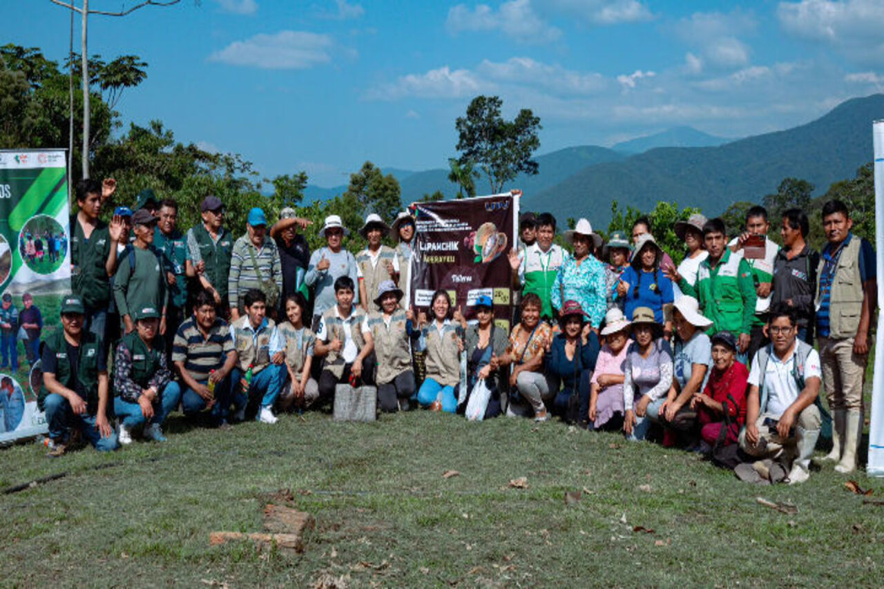 LLAPAMCHIK KAFERAYKU